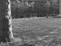 Meštrovićev paviljon